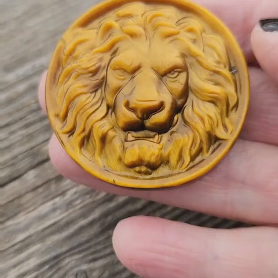 Crazy Cool Beautiful Juicy Tigers Eye Crystal Lion Coin Carving