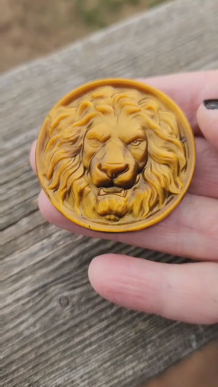 Crazy Cool Beautiful Juicy Tigers Eye Crystal Lion Coin Carving