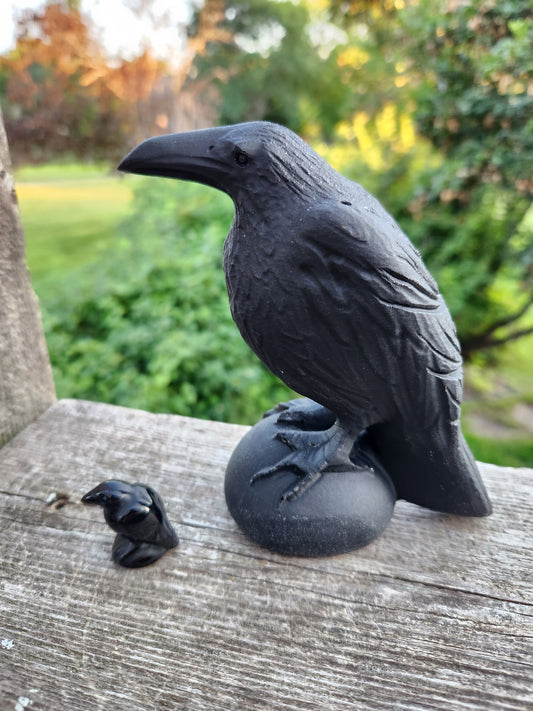 Live Sale Black Obsidian Raven + Free Mini Black Obsidian Raven